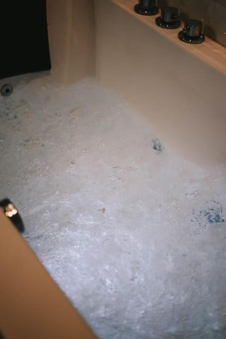 Ultimate Comfort ! Jacuzzi & Sauna. Besançon Eksteriør billede
